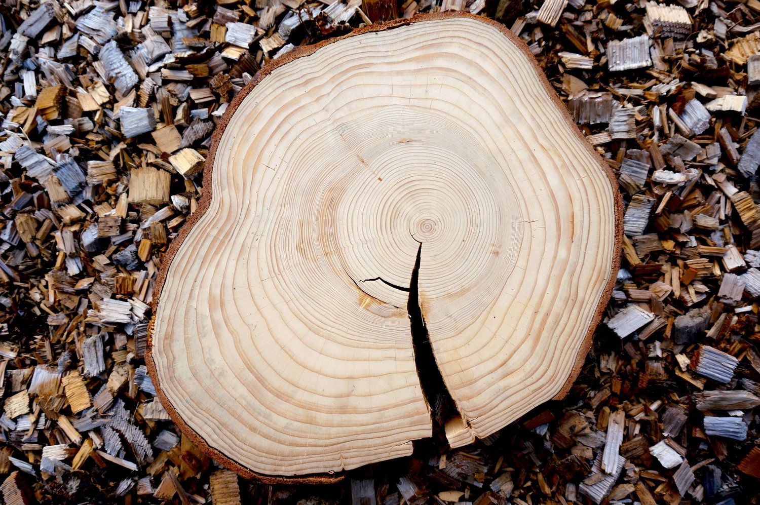 ACFOR forest management — Atlantic Canada