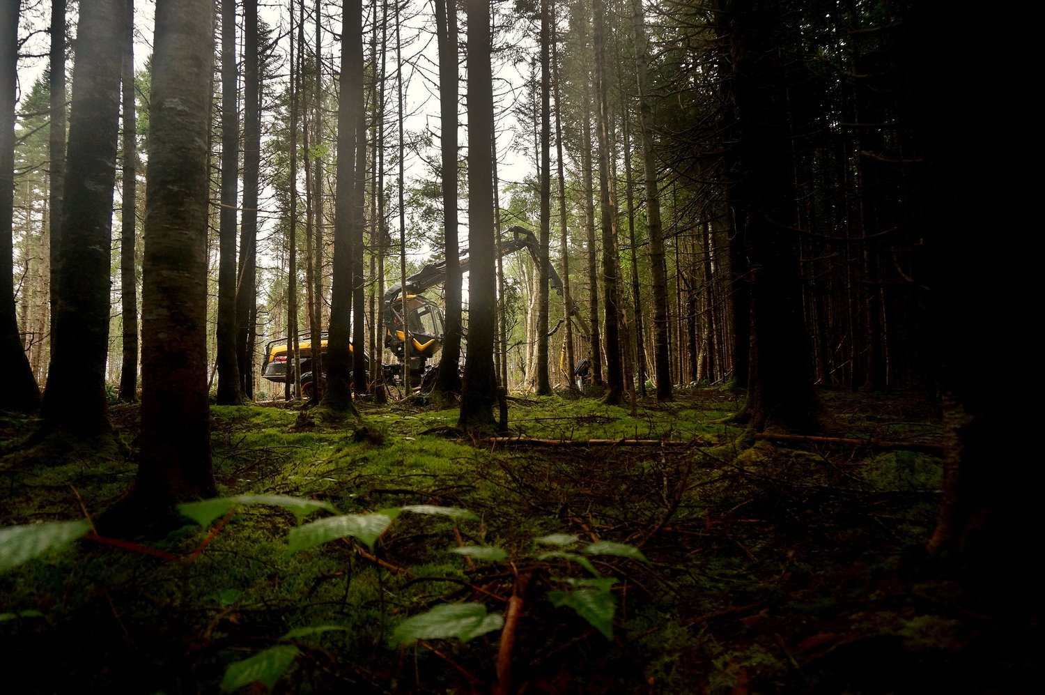 ACFOR team in the field